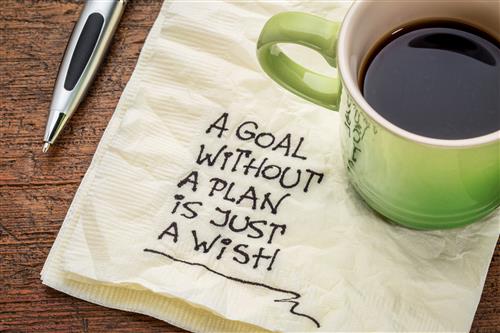 Plans and Goals 
